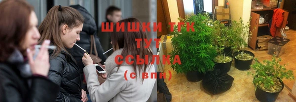 мдпв Белокуриха