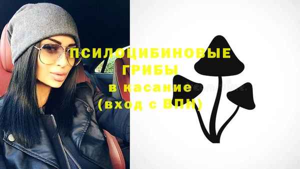 герыч Богородск