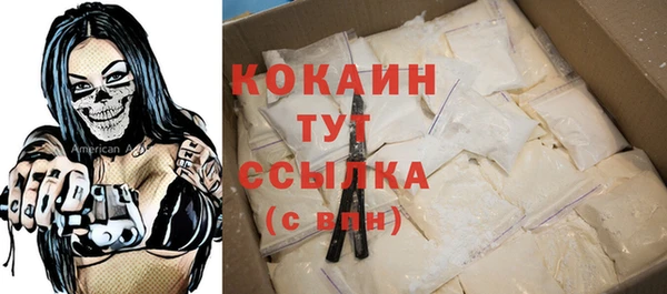 мдпв Белокуриха