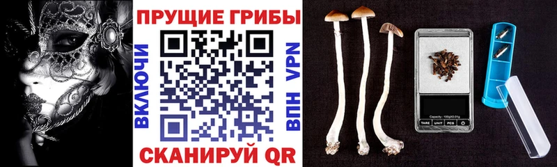 Галлюциногенные грибы Psilocybe  kraken ТОР  Волчанск 